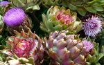 Foto de LAS ALCACHOFAS, ¡BAJAS EN CALORÍAS PERO ALTAS EN ACTITUD!