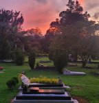 Foto de Cementerio Medellin