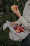 Foto de Aprende a utilizar los fertilizantes ecológicos