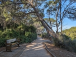 Foto de Rutas de senderismo en Valencia: Naturaleza y aventura para todos