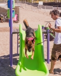 Foto de Green Juegos: Fabricación de juegos para espacios públicos en Yes Playa Canina de Mar del Plata