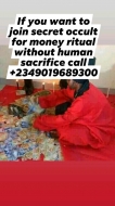 +2349019689300. I want to join secret occult occult for money ritual without a human being sacrifice.