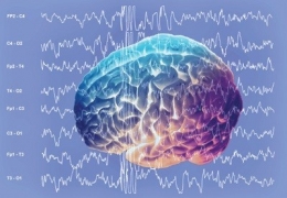 La relación entre la visión y el cerebro: cómo nuestro cerebro procesa la información visual