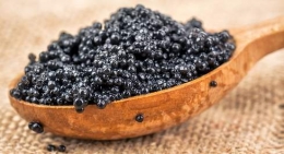 Information about beluga caviar