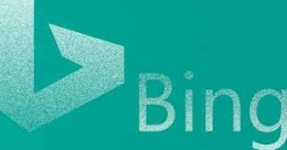 Características de Bing y su Competencia con Google