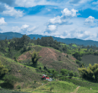 Diego Andrés Moreno Bedoya: Un Agricultor Colombiano Comprometido con la Sostenibilidad