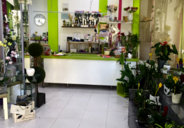 Apostar por una Floristería en Valencia con Productos Locales