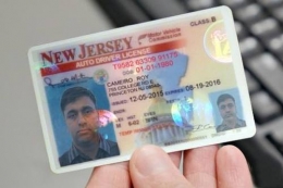 driver's license used as passport