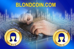 Tú puedes crear redes de negocios con el apoyo del equipo Blondcoin