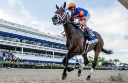 Favorito del Derby de Kentucky: Fierceness gana por 13 cuerpos y medio en el Derby de Florida