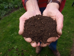 Abonos químicos versus abonos ecológicos