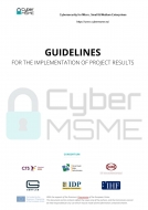 Sostenibilidad a largo plazo y recursos de explotación del proyecto CYBER-MSME: Una validación de prácticas y recomendac