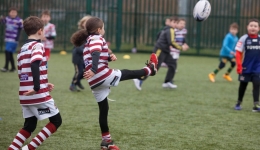 Porque el rugby es un deporte para niños