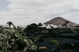 Maximizing Your Time in Lanzarote: Swift Airport Transfers to Get Your Holiday Started