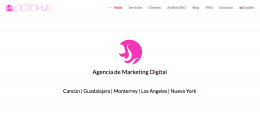 Seleccion de empresa de Marketing Digital hace toda la diferencia