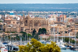 Análisis de los Precios de las Casas en Palma: Tendencias y Factores Influyentes