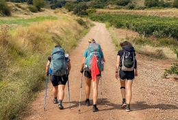 ¿Cuáles son las principales rutas del Camino de Santiago?