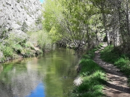 Fluviatilis: una oportunidad para restaurar ríos y adaptarnos al cambio climático