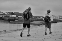 Ruta camino de santiago