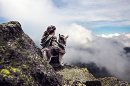 Mascotas protegidas: ¿existen los seguros para perros?