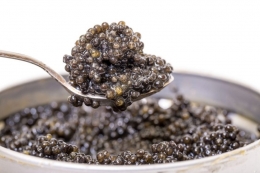 All about sevruga caviar