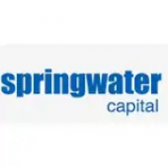 Éxito en capital privado: Springwater Capital y su pericia en inversiones