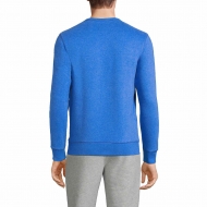 Sweatshirts are stylish option for men