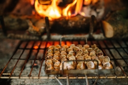 Descubre el Sabor Único de Lleida en TU RAI: Gastronomía con Raíces y Pasión