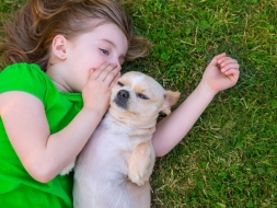 Caninos Compañeros: El Vínculo Especial entre Personas y Perros